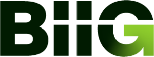 BIIG Logo
